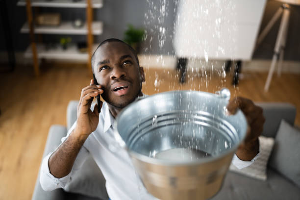 Best Basement water damage restoration  in South Miami, FL