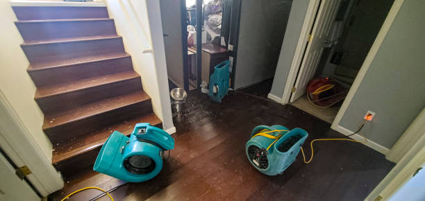 Best Ceiling water damage repair  in South Miami, FL