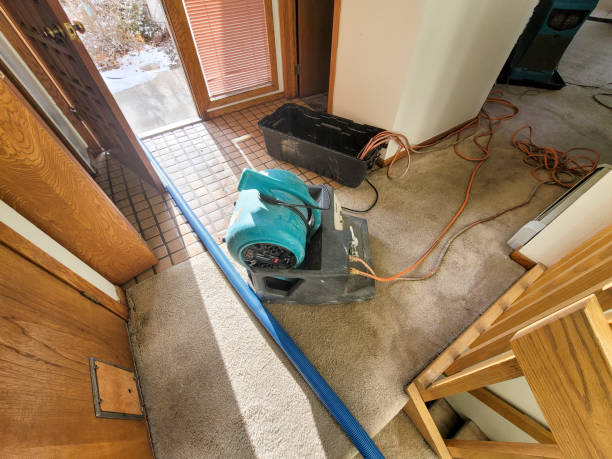 Best Water damage restoration company  in South Miami, FL