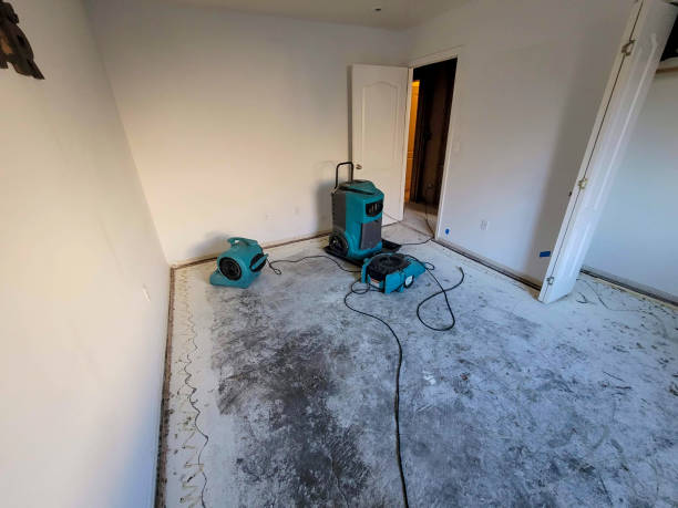 Reliable South Miami, FL Water damage restoration Solutions