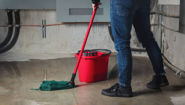 Best Ceiling water damage repair  in South Miami, FL