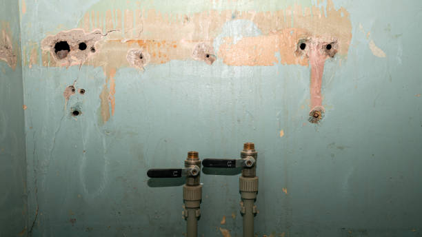 Best Commercial water damage restoration  in South Miami, FL
