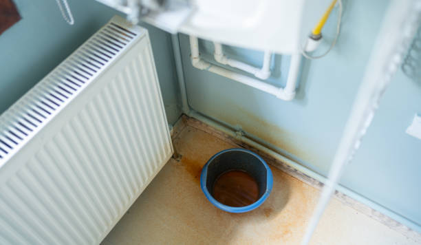 Best Water damage contractors near me  in South Miami, FL