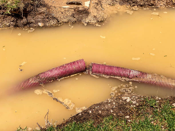 Best 24-hour water damage restoration  in South Miami, FL