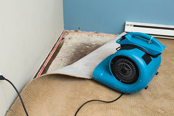 Best Flood restoration services  in South Miami, FL